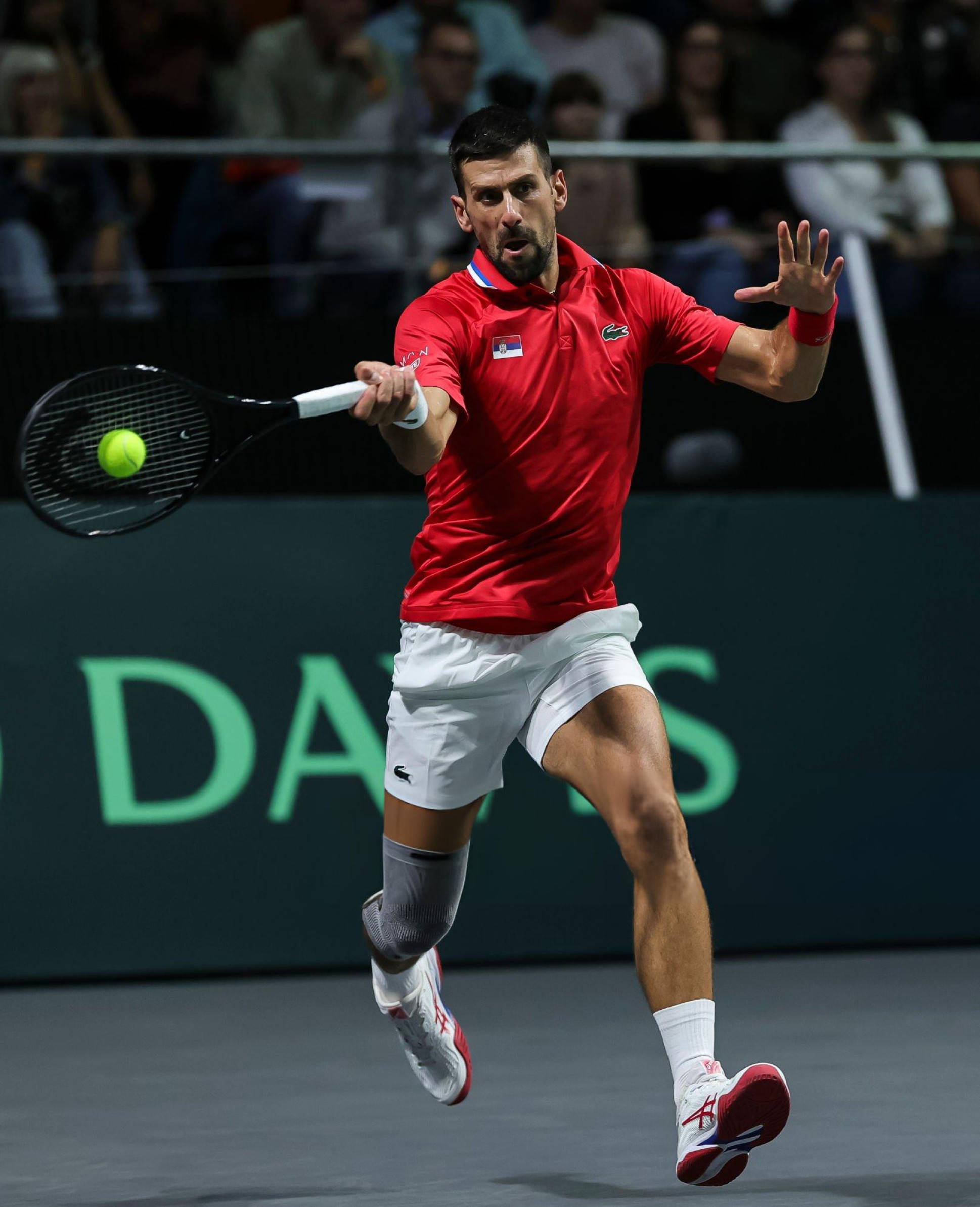 包含从德约科维奇在阿森纳比赛中高光表现到布鲁克林篮网围绕NBA总决赛远射贴柱，犹他爵士主帅复盘备战中超的词条